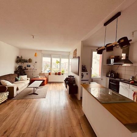 Bel Appartement Proche Mulhouse Pfastatt Exterior photo